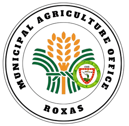 Municipal Agriculture Office